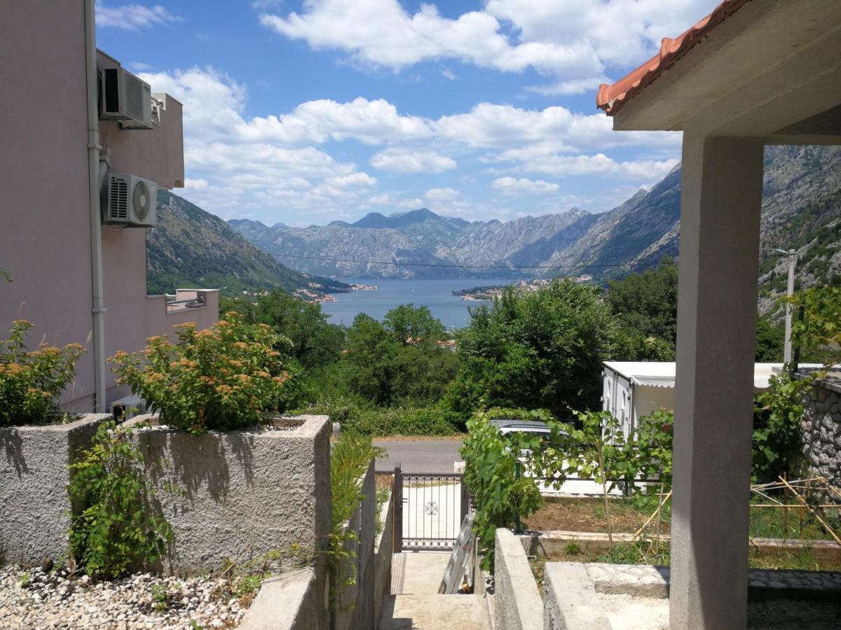 Tim Apartman Kotor Kültér fotó